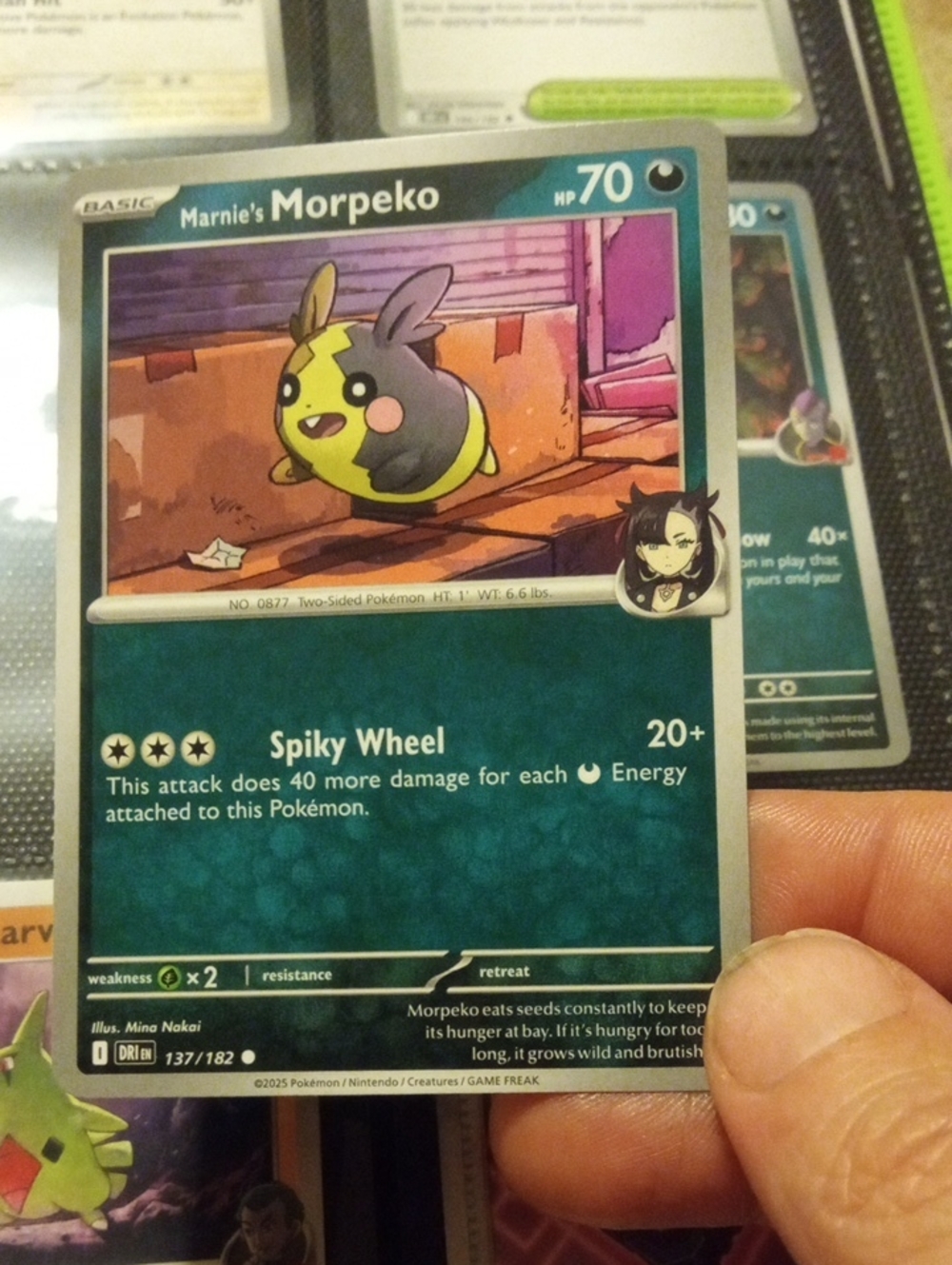 Pokemon Marnie's Morpeko Trading Card - Black & Yellow